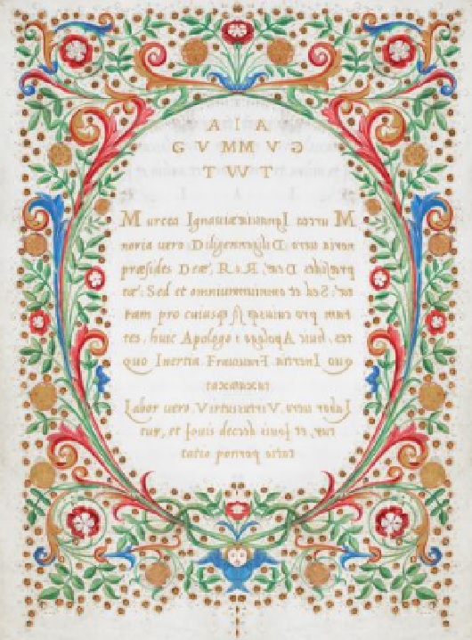 Mirrored image from a book of hours. Scrolling vines in red and blue with flowers in red and leaves of green.